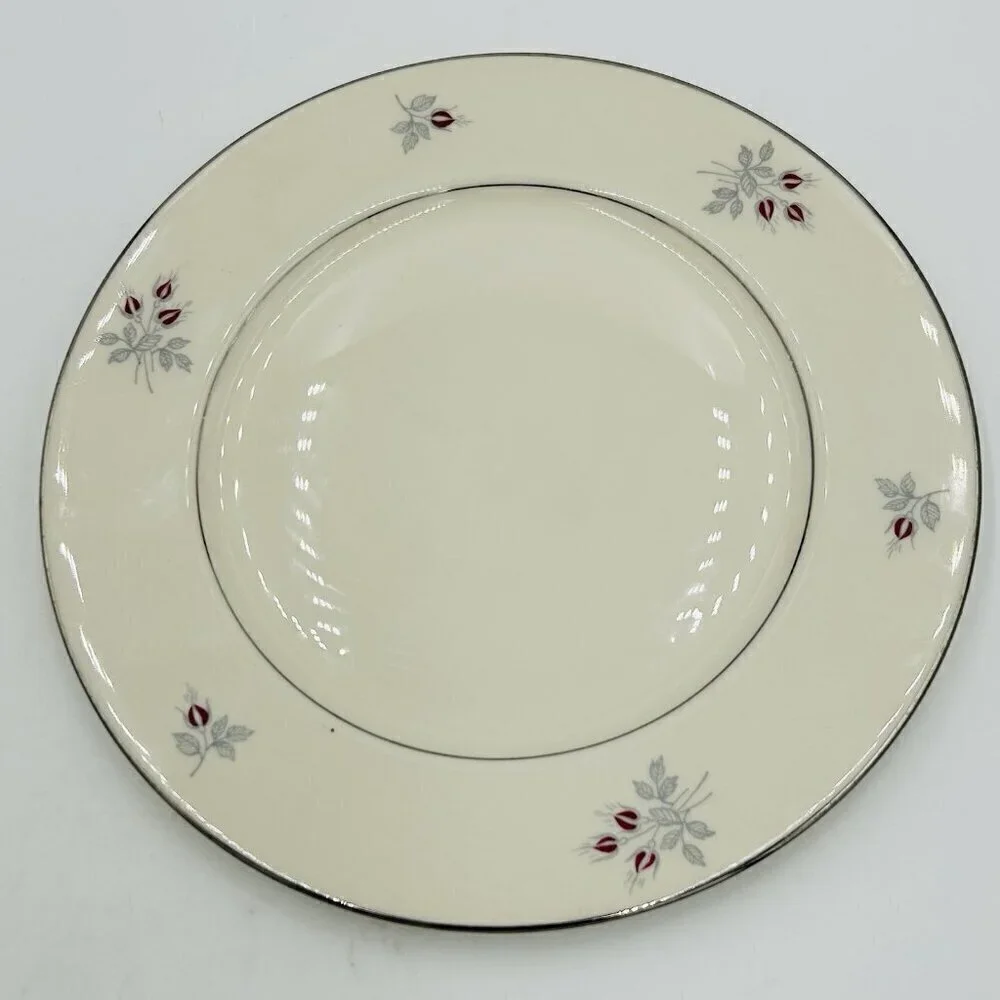 Triomphe Caress Porcelain Dinner Plate 10-3/4